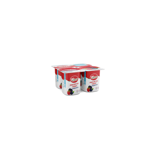 Eker Forest Fruit Yogurt - 4x100 Grams